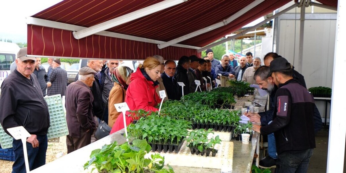Üniversitemizin Ürettiği Fideler Satışa Sunuldu