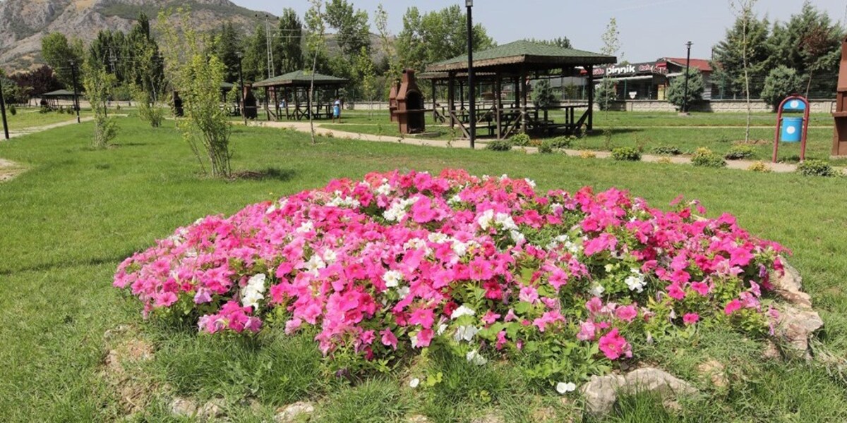 Kampüsümüz Yeni Bir Yaşam Alanı Daha Kazandı