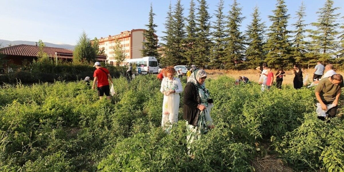 Nesilden Nesile Engelsiz Gönül Bağı “Hasat Zamanı”nda Buluştu