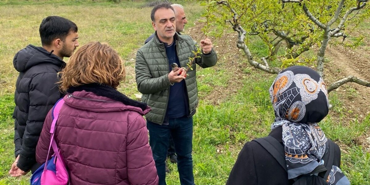 Meyve Ağaçlarında Aşı ve Budama Eğitiminin İkinci ve Üçüncü Etapları Tamamlandı
