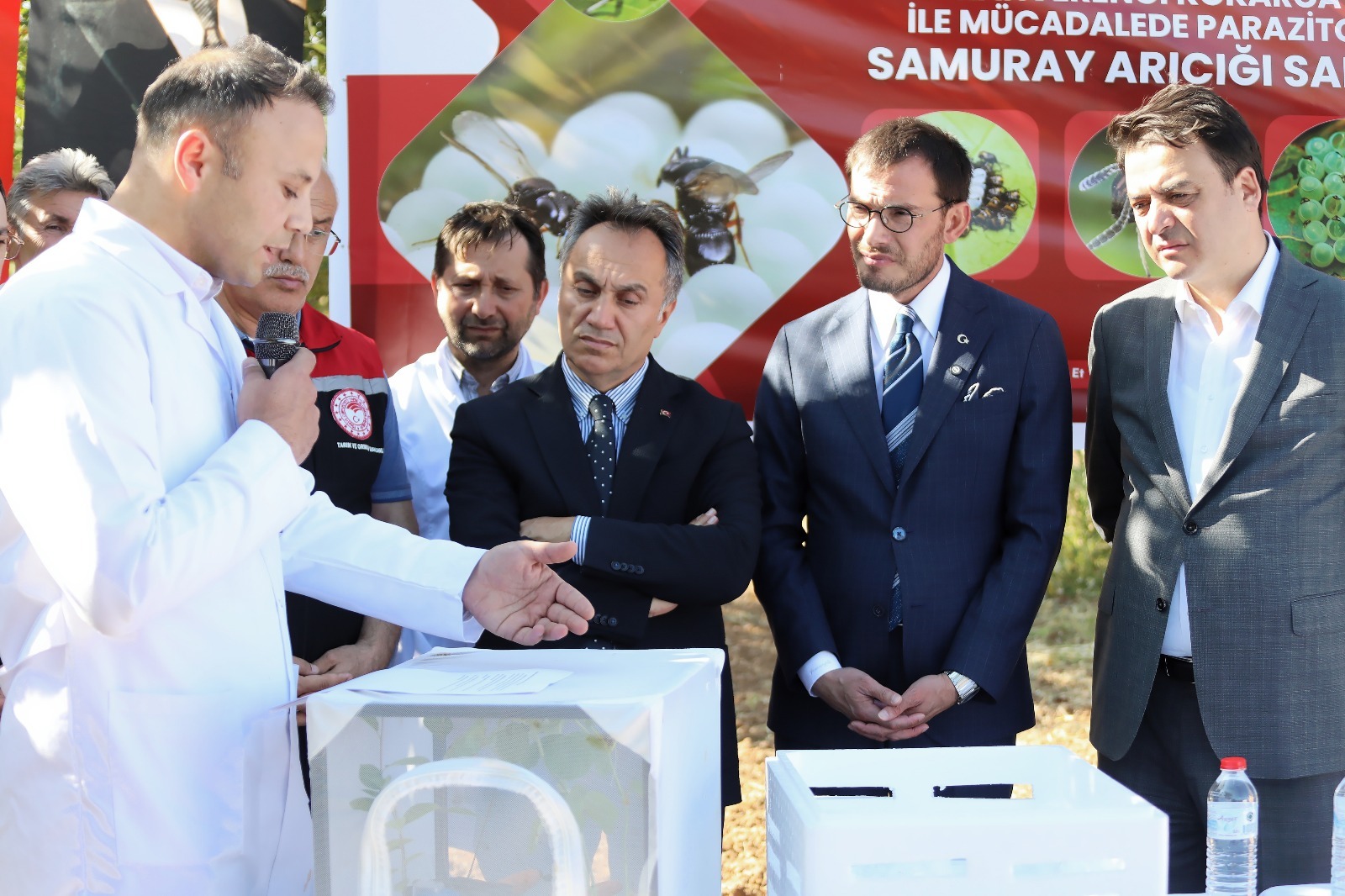 Tokat’ta Kahverengi Kokarca ile Biyolojik Mücadele: Samuray Arılar Doğaya Salındı