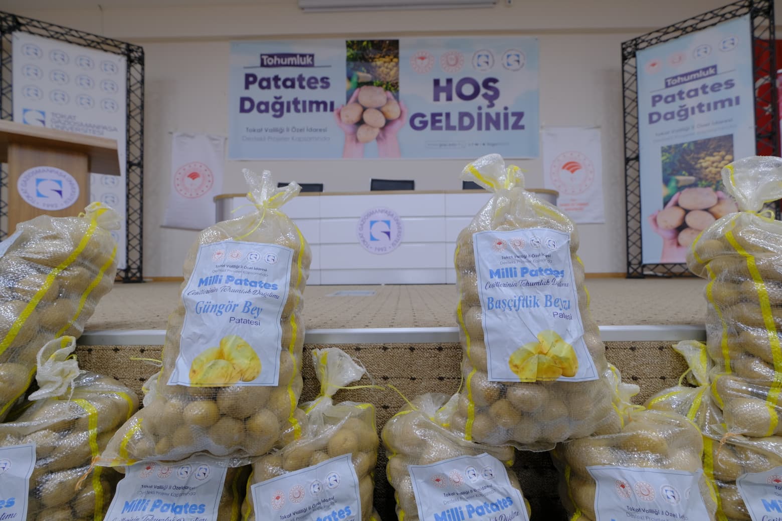 Tokat’ın Yerli Patatesleri Üreticiye Güç Katacak: Üniversitemiz Tarafından Üretilen Tohumluk Patatesler Çiftçilere Dağıtıldı