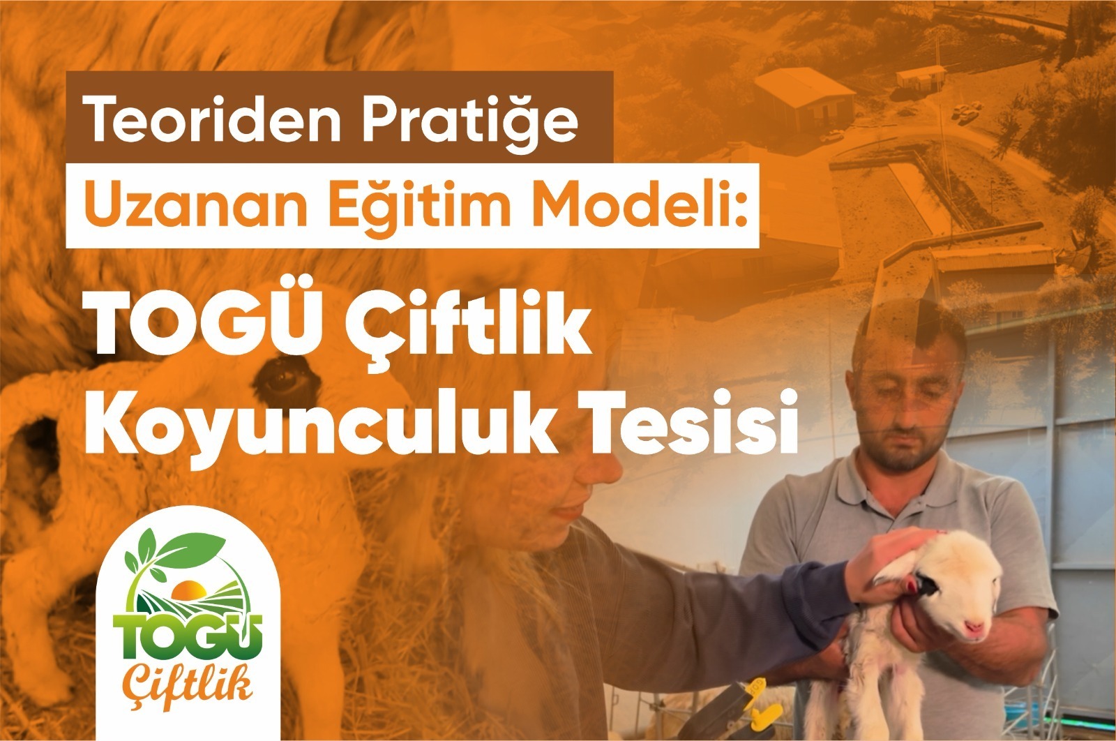 Teoriden Pratiğe Uzanan Eğitim Modeli: TOGÜ Çiftlik Koyunculuk Tesisi