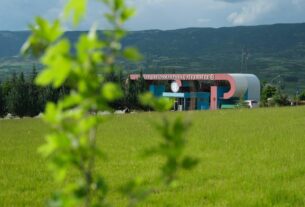 Kampüsümüze Asırlık Miras: TOGÜ’de Çınar Ağaçları Toprakla Buluştu